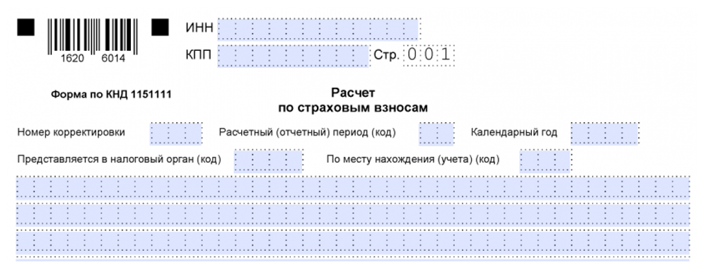 kak-zapolnit-rsv-za-9-mesyatsev1.png